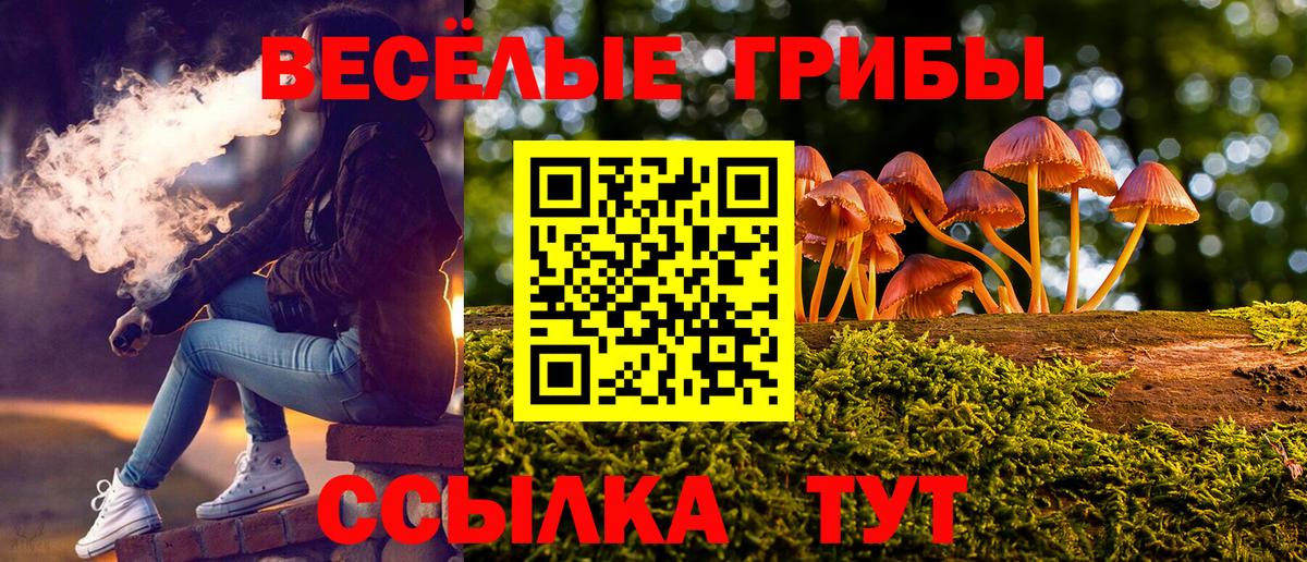 Галлюциногенные грибы ЛСД Майкоп